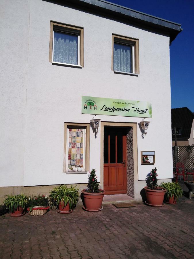 Landpension Haupt 세브니츠 외부 사진