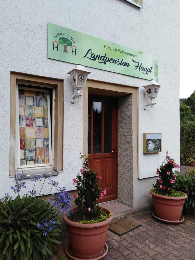 Landpension Haupt 세브니츠 외부 사진